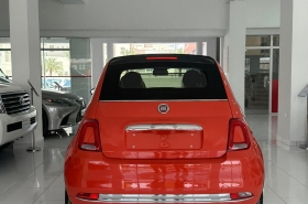 Fiat
              500