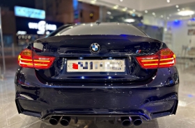 BMW
              M