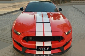 Ford - Mustang Shelby